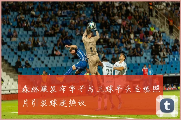森林狼发布华子与三球平头合练照片引发球迷热议