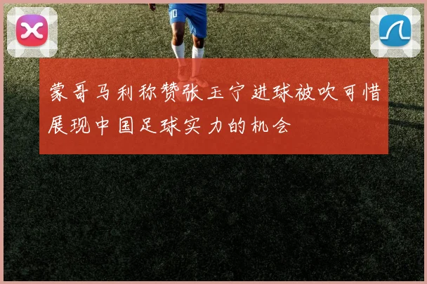 蒙哥马利称赞张玉宁进球被吹可惜展现中国足球实力的机会