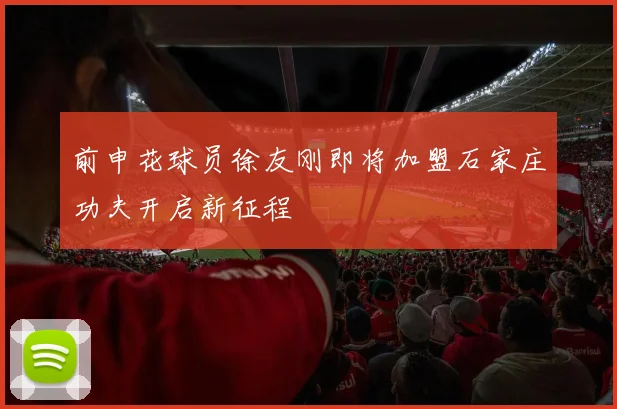 前申花球员徐友刚即将加盟石家庄功夫开启新征程