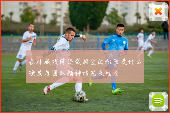 森林狼残阵逆袭掘金的秘密是什么硬度与团队精神的完美结合